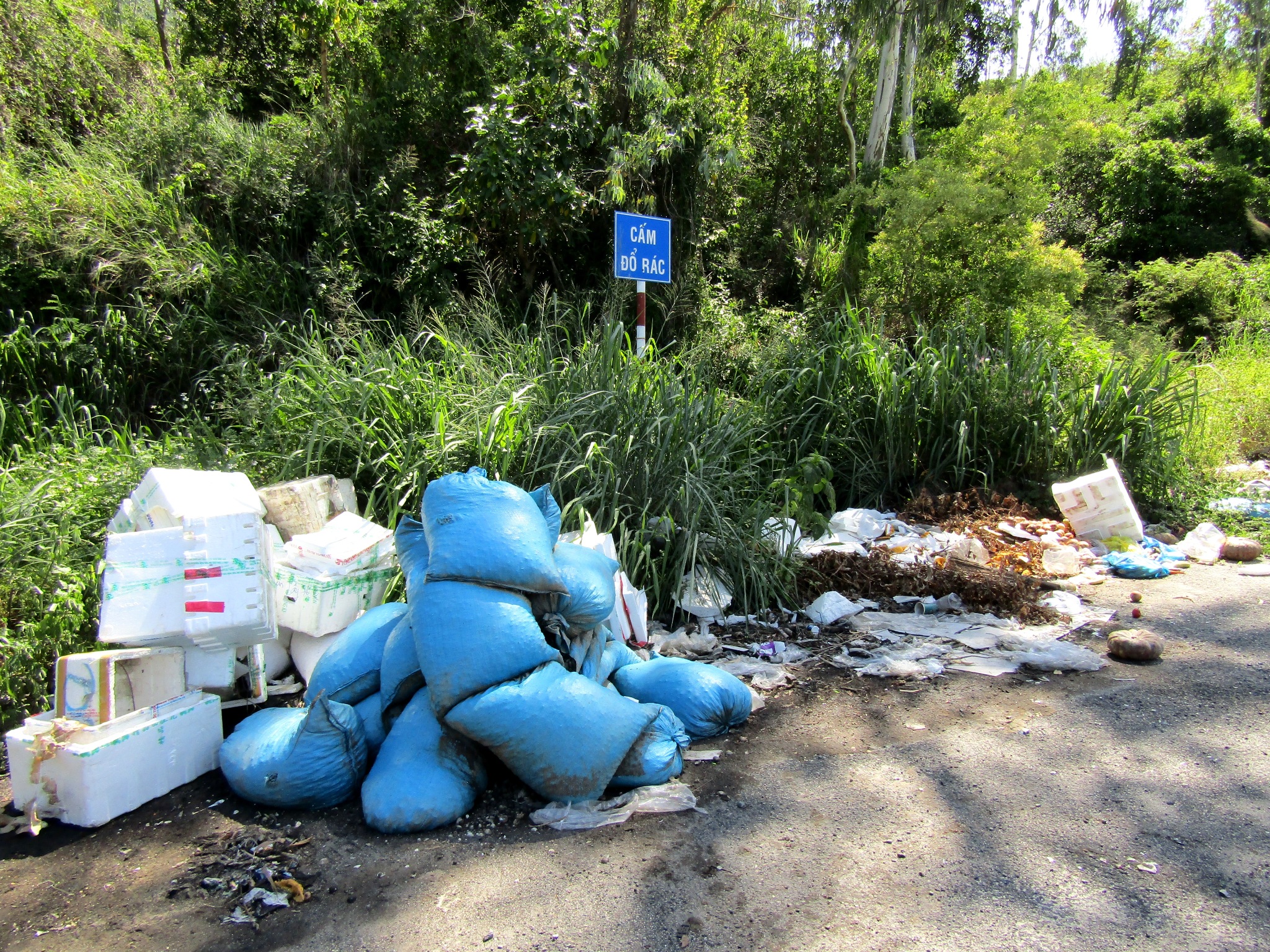 Vứt bừa bãi vỏ sò, ốc ra bãi đậu xe