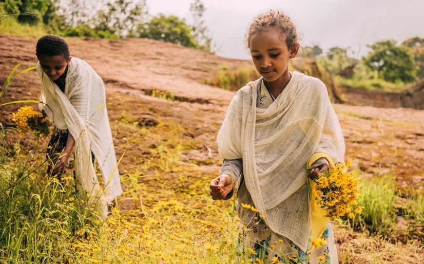 Hoa Adey Abeba bản địa bung nở là báo hiệu về năm mới tại Ethiopia. Ảnh: CNN

