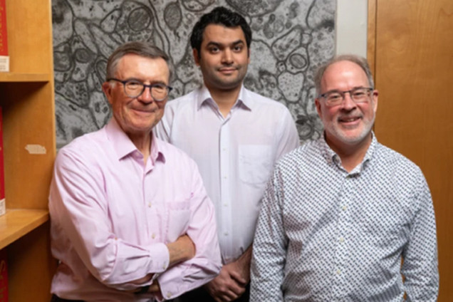 Các nhà khoa học trong nhóm nghiên cứu (từ trái sang) Terence Sejnowski, Mohammad Samavat và Thomas Bartol.