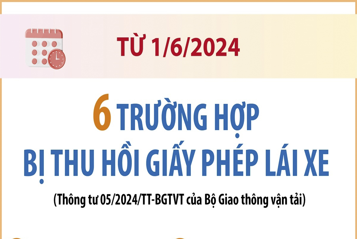 6 trường hợp bị thu hồi giấy phép lái xe từ 1/6/2024