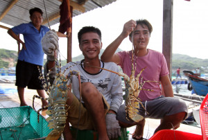 Cam Ranh lobster festival 2024 to take place in early August