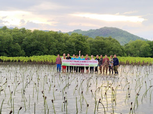 Hội Liên hiệp Phụ nữ xã Ninh Ích trồng mới 4.000 cây đước ở đầm Nha Phu