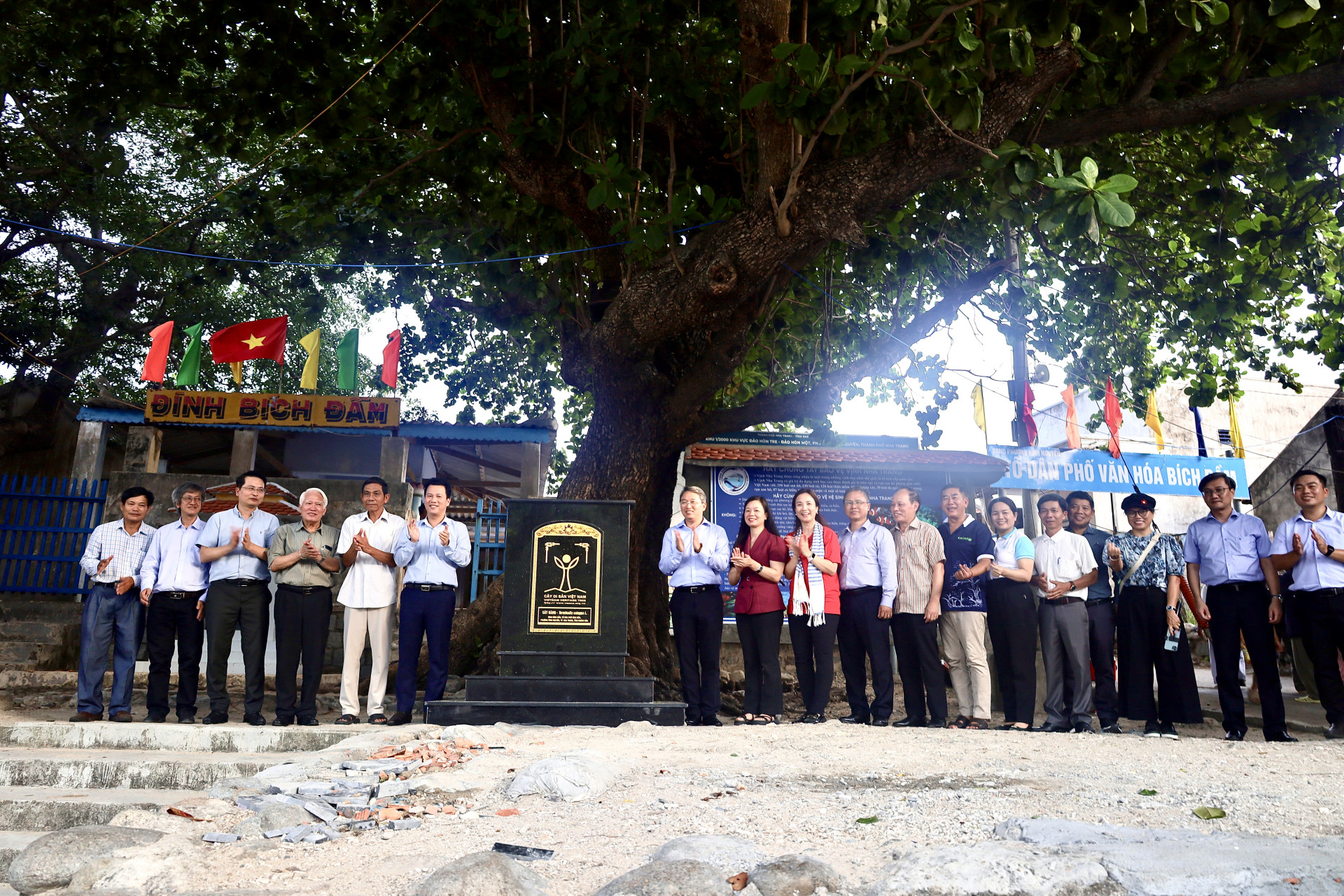 Các đồng chí lãnh đạo chúc mừng cây bàng tại đình Bích Đầm được công nhận là cây di sản Việt Nam.