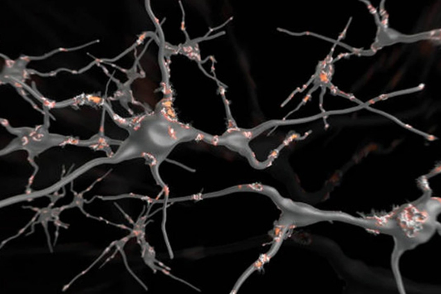 Phát hiện mới mở ra cánh cửa điều trị bệnh xơ cứng teo cơ bên