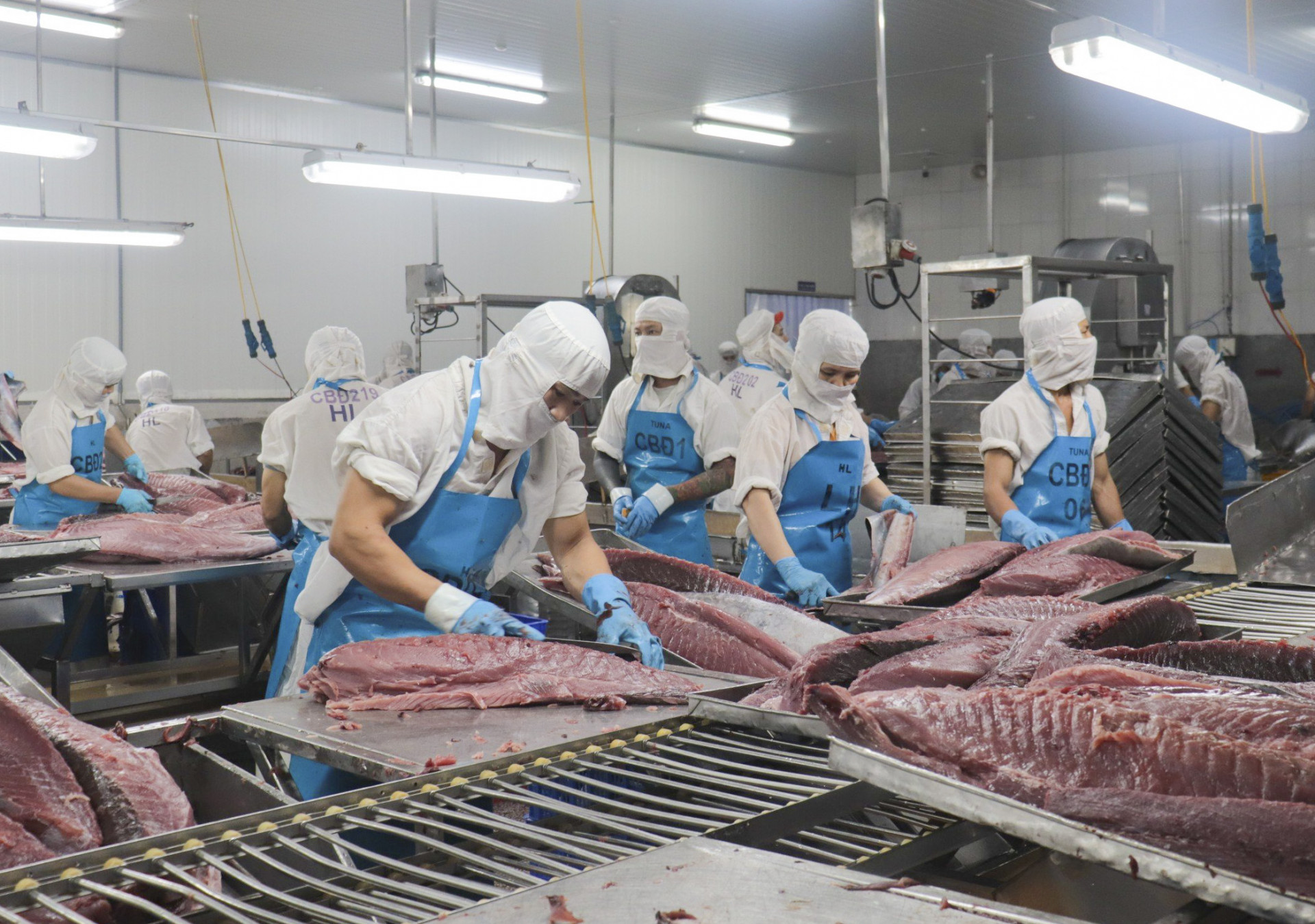 The provinces seafood export has achieved many positive results.