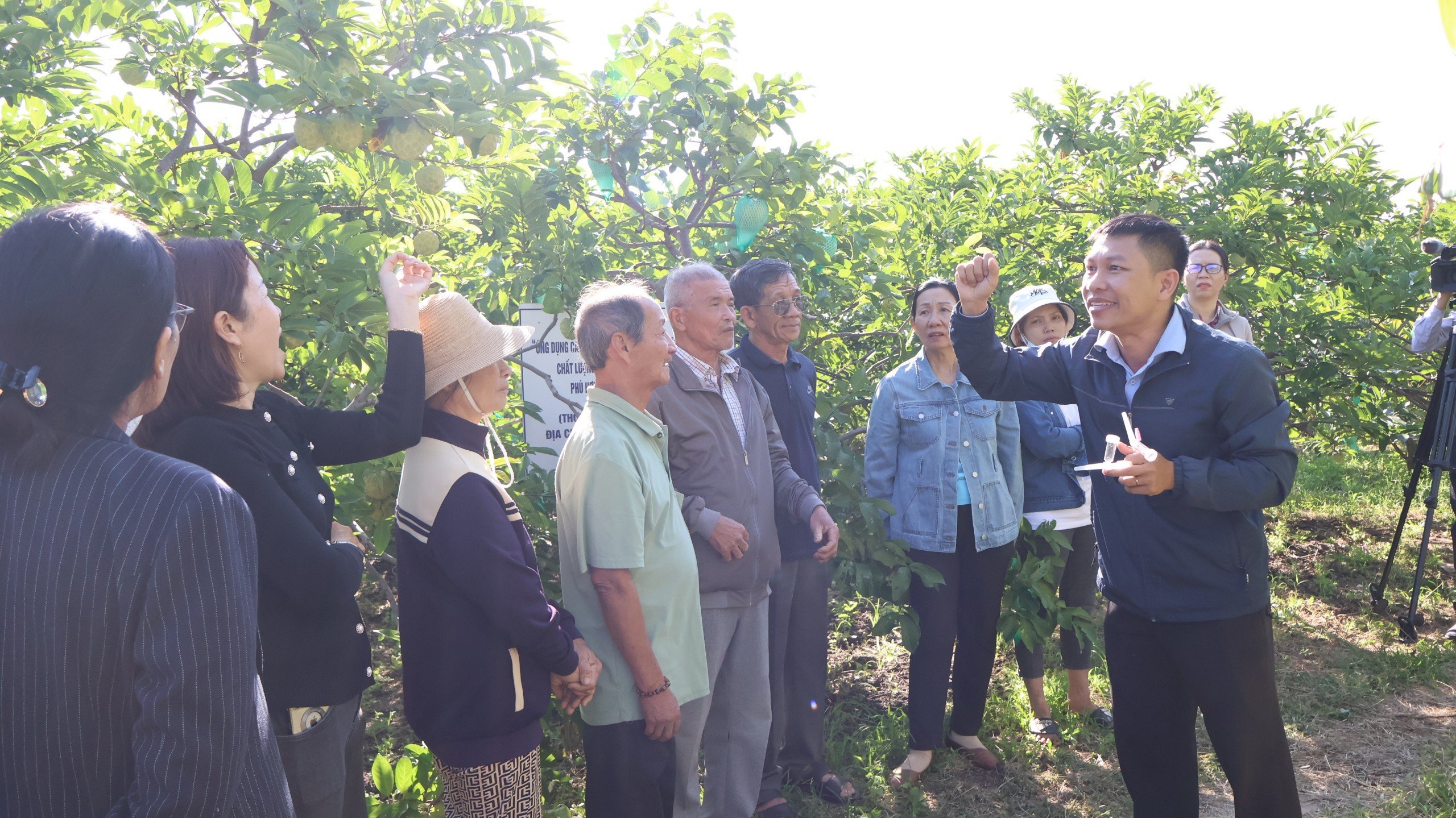 Kỹ sư Nguyễn Quốc Huy hướng dẫn người dân xã Cam Hiệp Nam thực hiện thụ phấn bổ sung cho cây mãng cầu Thái