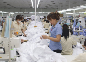 Many economic sectors of Khanh Hoa growing up dramatically