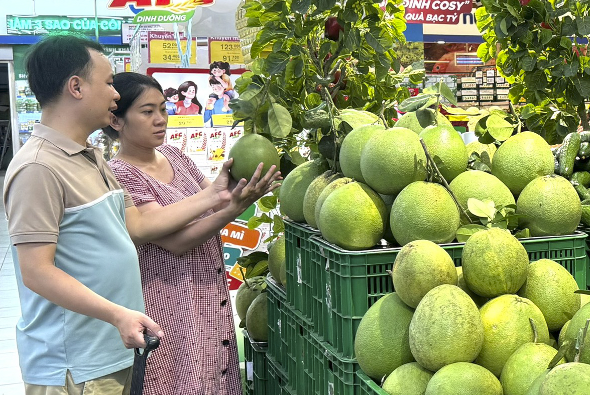 Nâng tầm chất lượng nông sản vùng cao