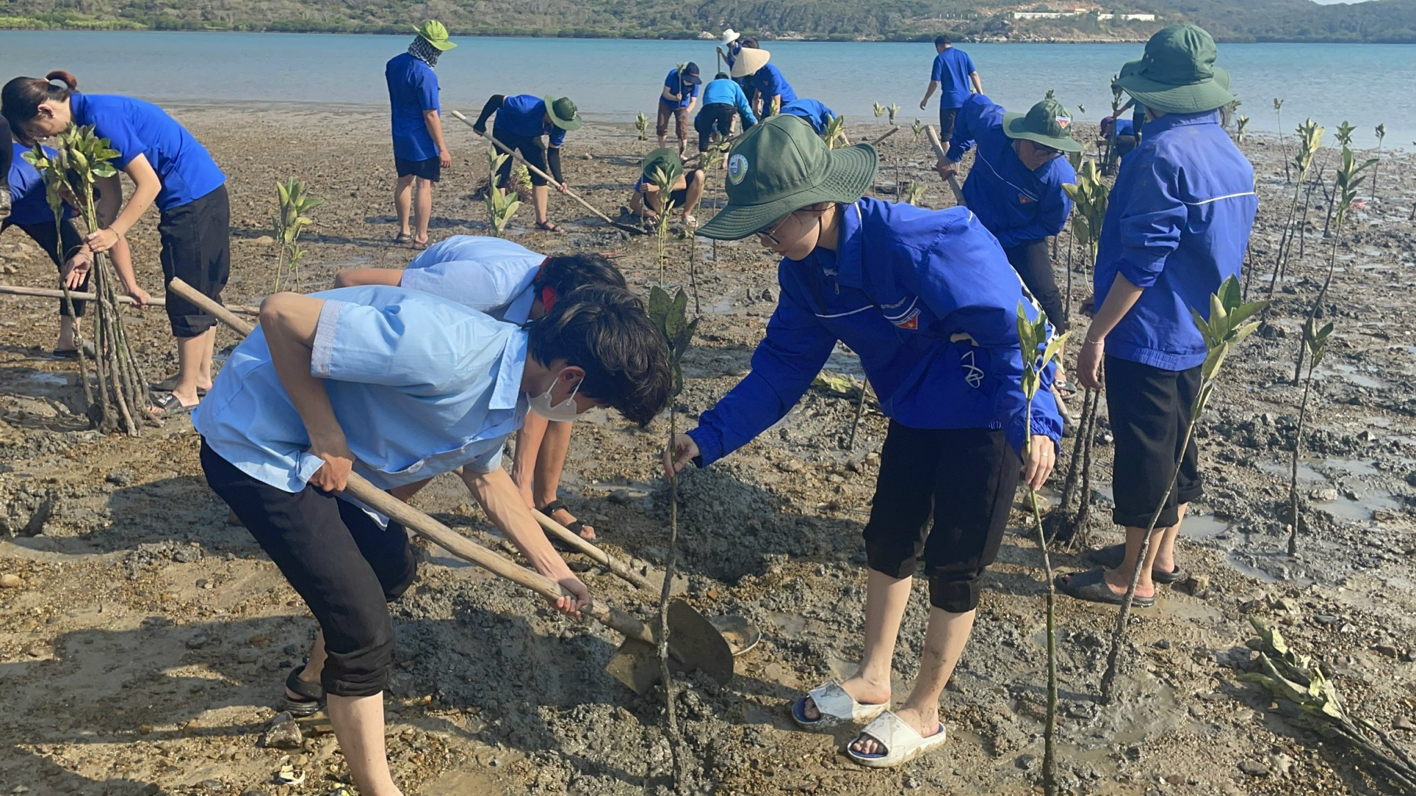 Hưởng ứng Ngày Môi trường thế giới (5-6): Hướng đến môi trường xanh bền vững