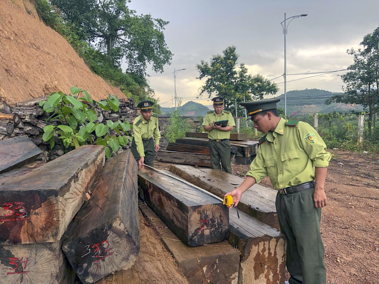 Lâm sản phát hiện tại khu vực Ko Róa tạm giữ tại Hạt Kiểm lâm Khánh Sơn để tiếp tục xử lý.