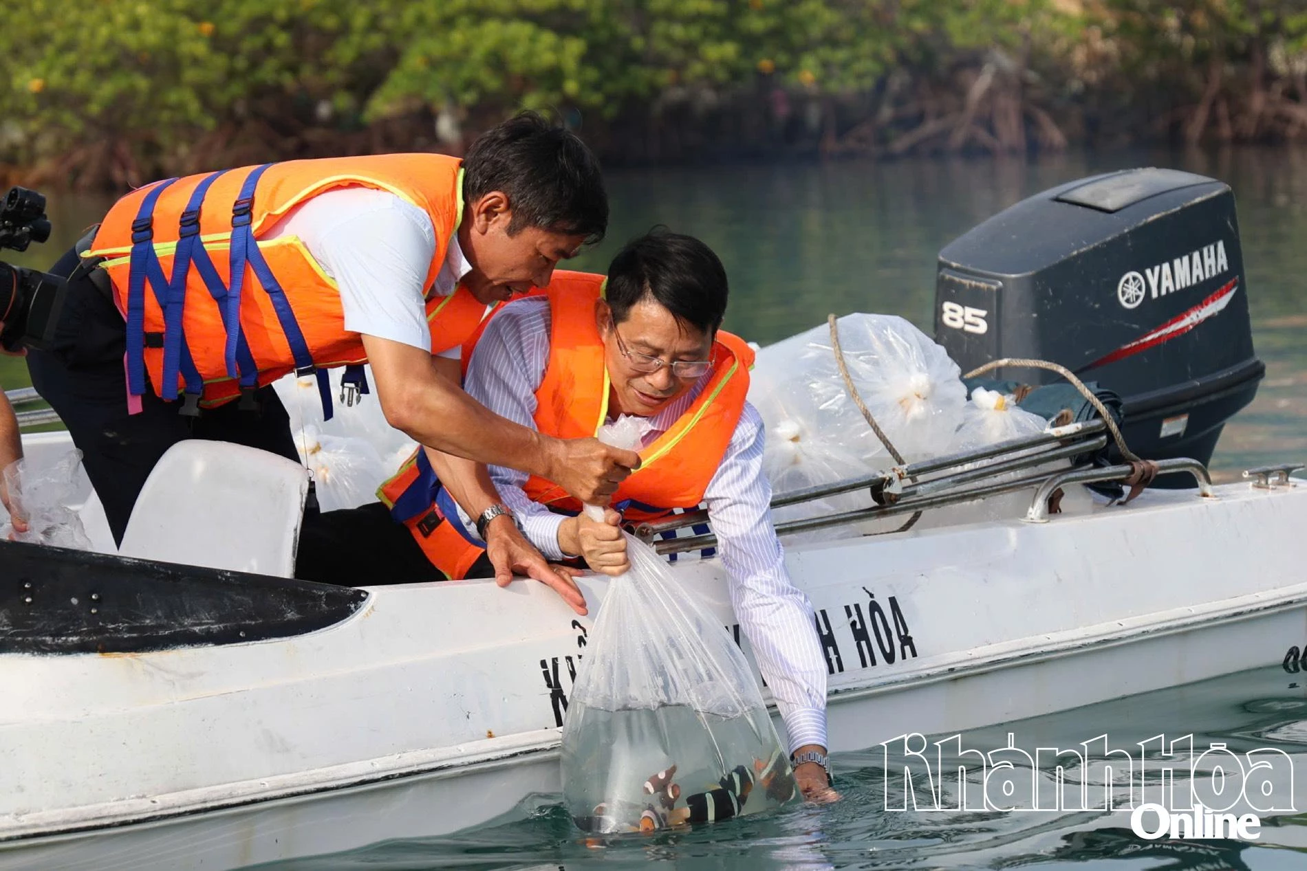 Thả hơn 423.500 con cá, tôm giống tái tạo nguồn lợi thủy sản vịnh Nha Trang