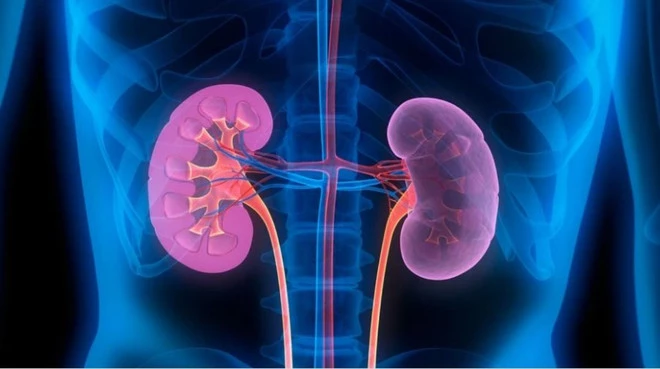 (Ảnh: Getty images)