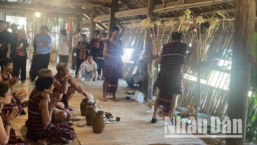 Lễ hội Sayangva (cúng Thần Lúa) của người Chơ Ro ở Đồng Nai.