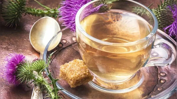 Uống trà cây kế sữa có thể giúp giải độc gan.