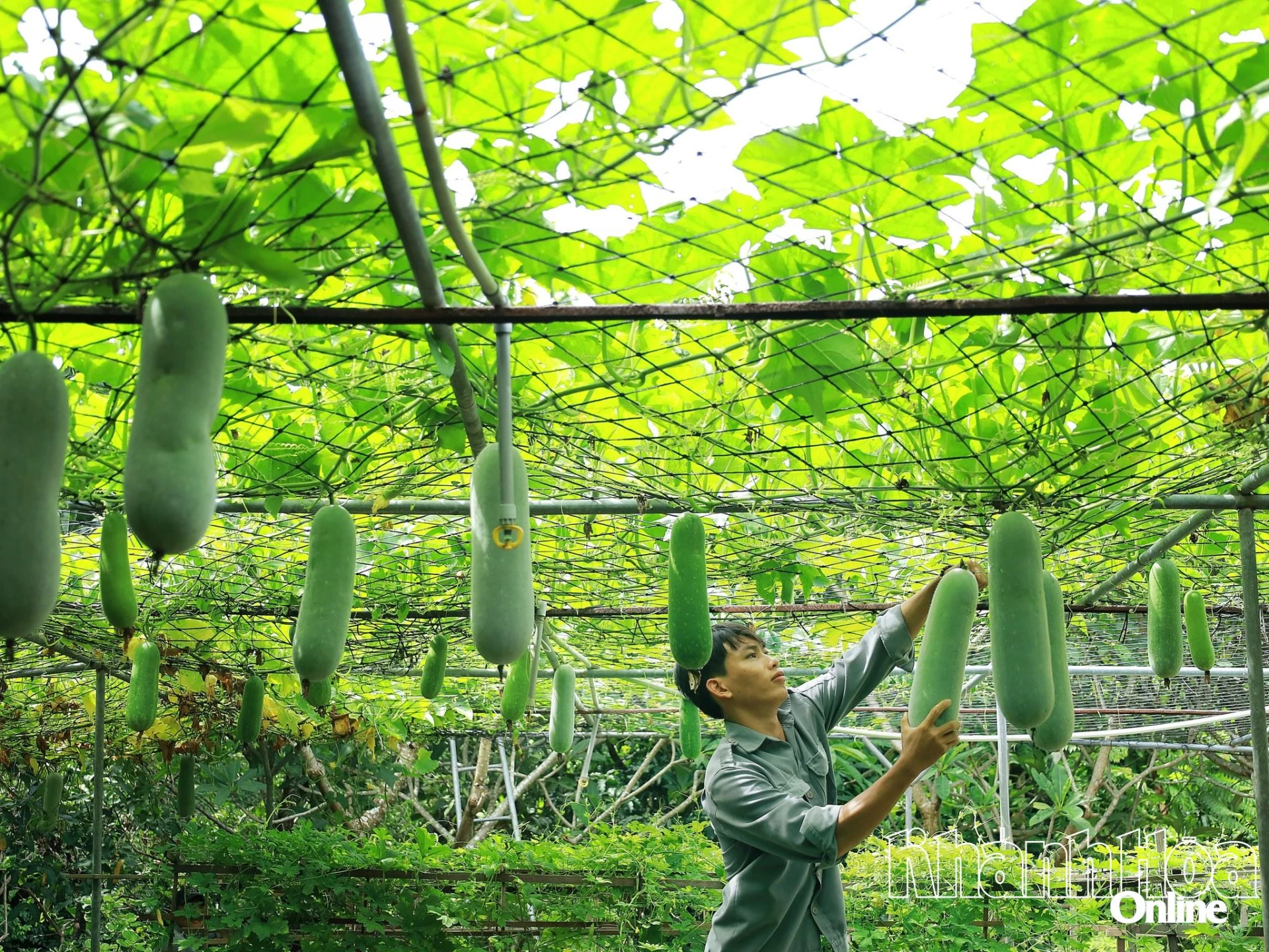 Thúc đẩy du lịch xanh: Doanh nghiệp du lịch cần được "tiếp sức" 