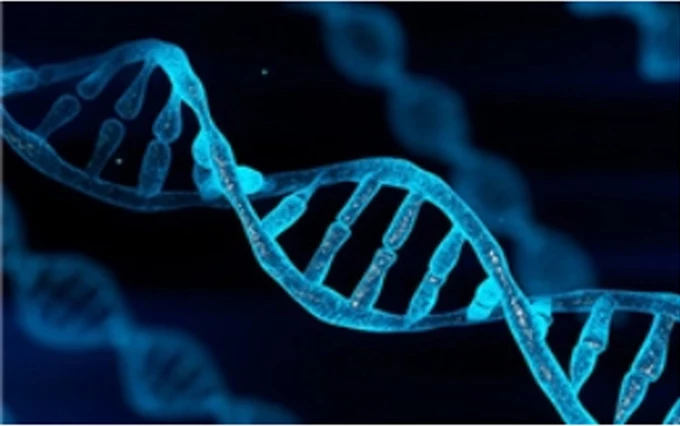 Phát hiện gene gây nguy cơ cao mắc rối loạn lưỡng cực và bệnh thận