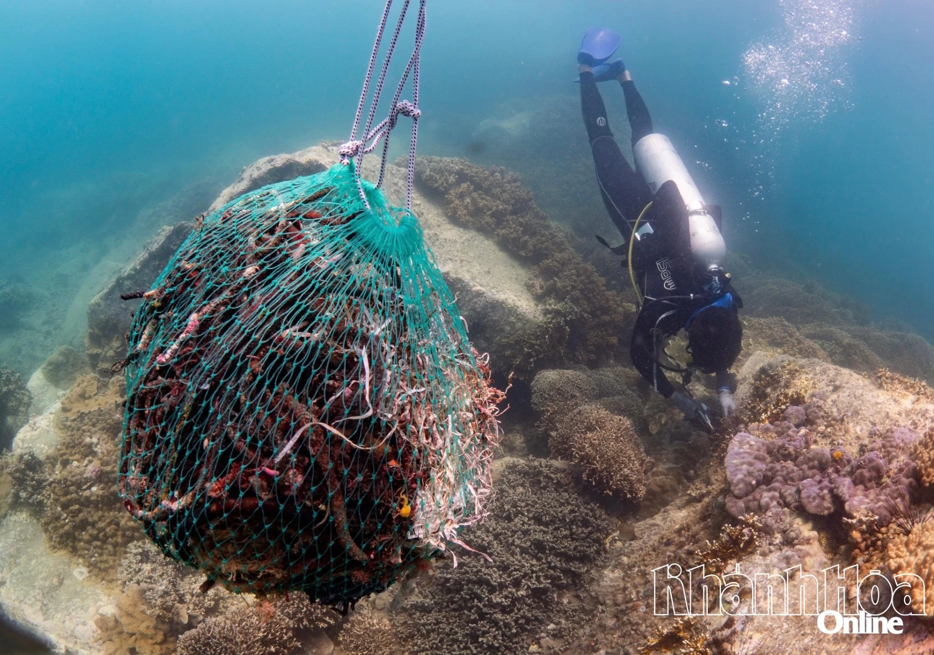 Rác thải ở vịnh Nha Trang 
được cẩu và đưa lên bờ xử lý.
