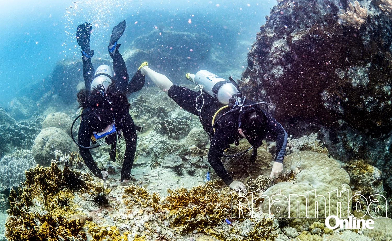 Các tình nguyện viên 
thu gom rác thải 
ở vịnh Nha Trang.
