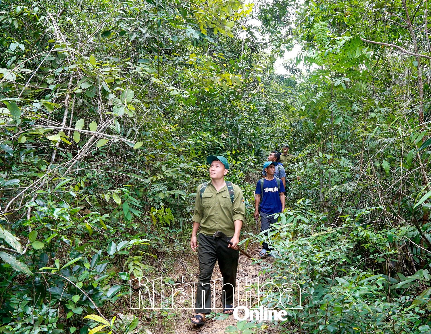 Lực lượng chuyên trách bảo vệ rừng của Ban Quản lý Rừng phòng hộ Nam Khánh Hòa tuần tra bảo vệ rừng.