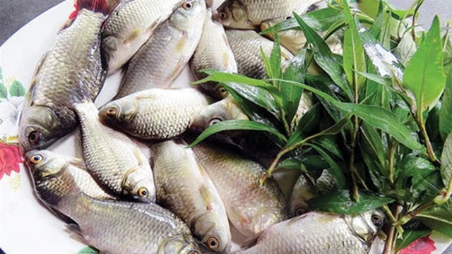 Món Cháo cá diếc ngon