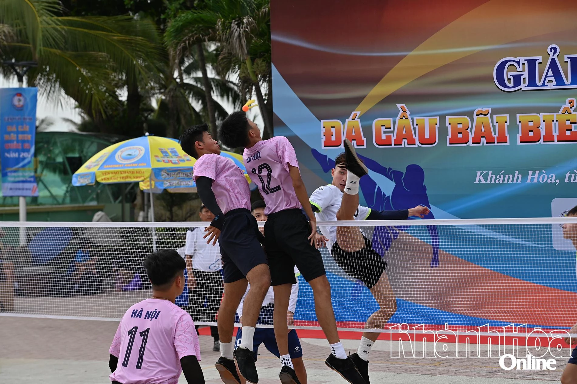 Các đội bóng nam thi đấu tại giải.