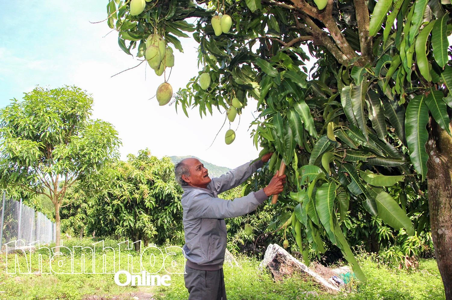 Cam Lâm: Chăm lo đời sống đồng bào dân tộc thiểu số