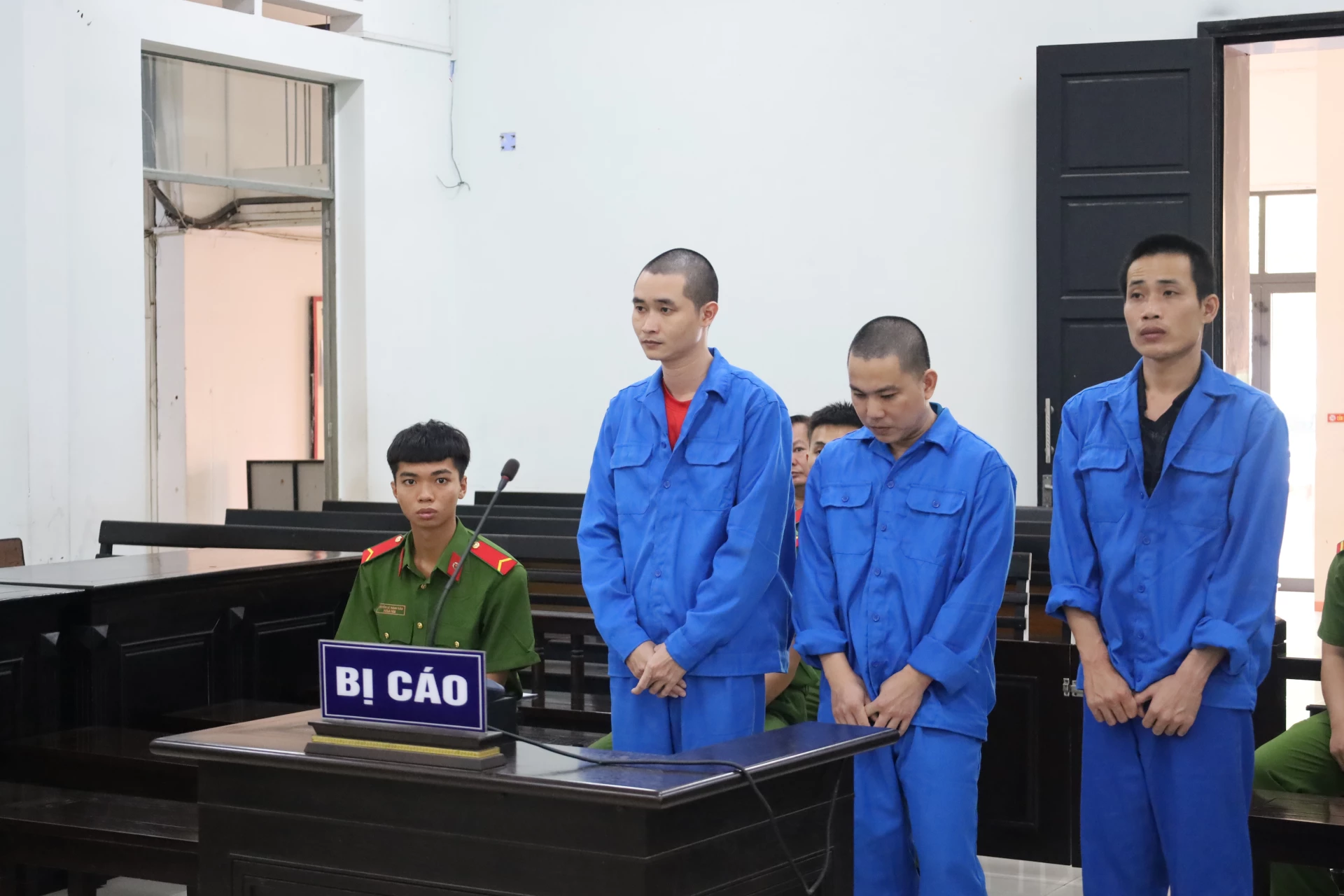 Vào tù vì tổ chức sử dụng ma túy