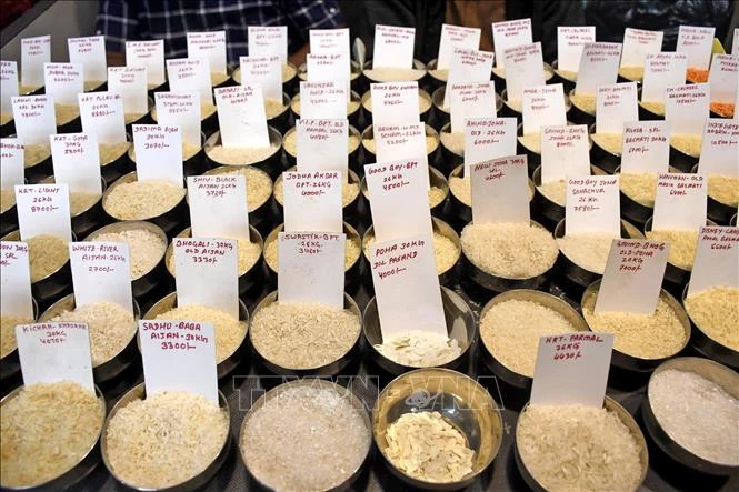 FAO: Giá lương thực thế giới giảm trong tháng 5