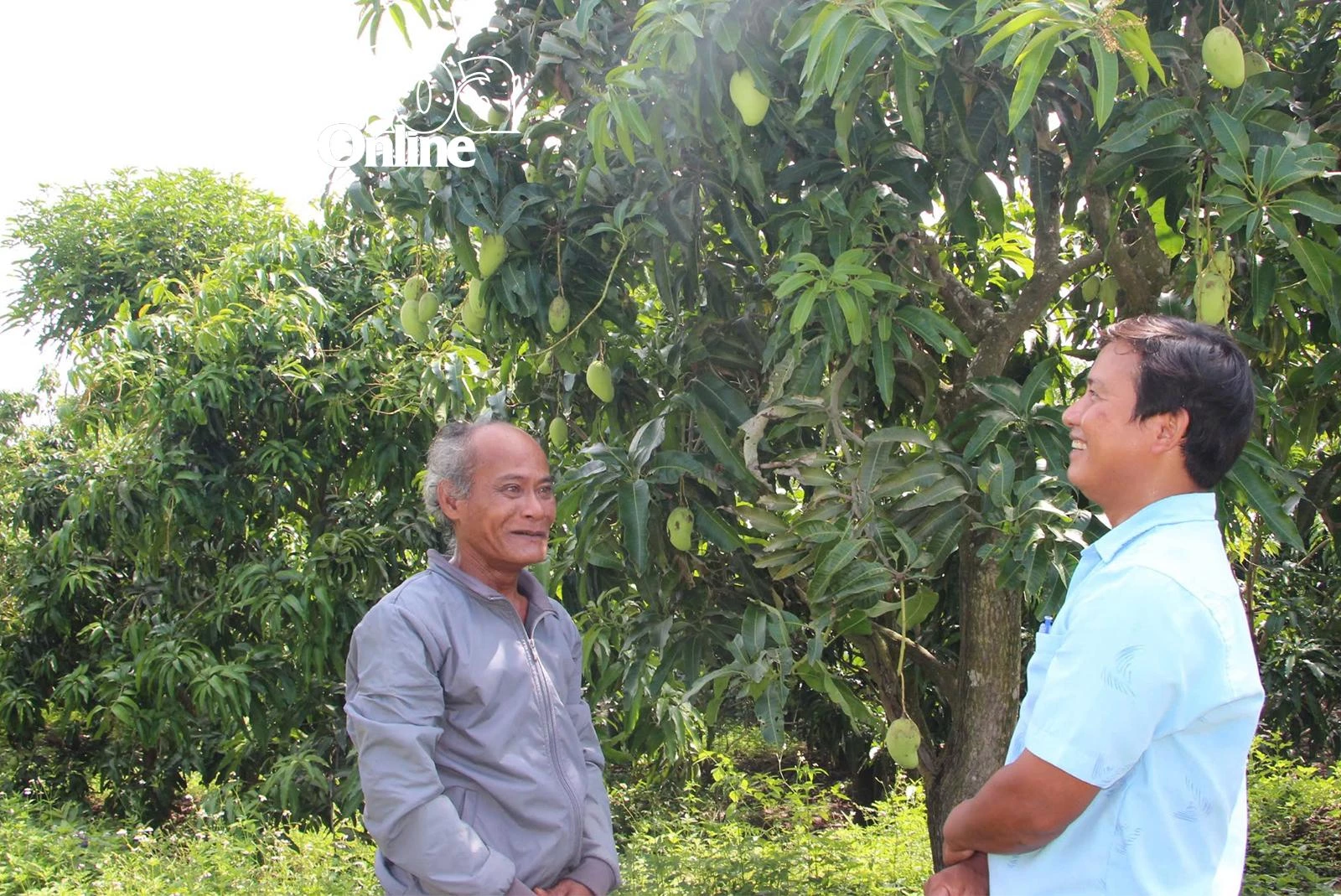 Cam Lâm: Phát huy vai trò người có uy tín vùng đồng bào dân tộc thiểu số trong phát triển kinh tế