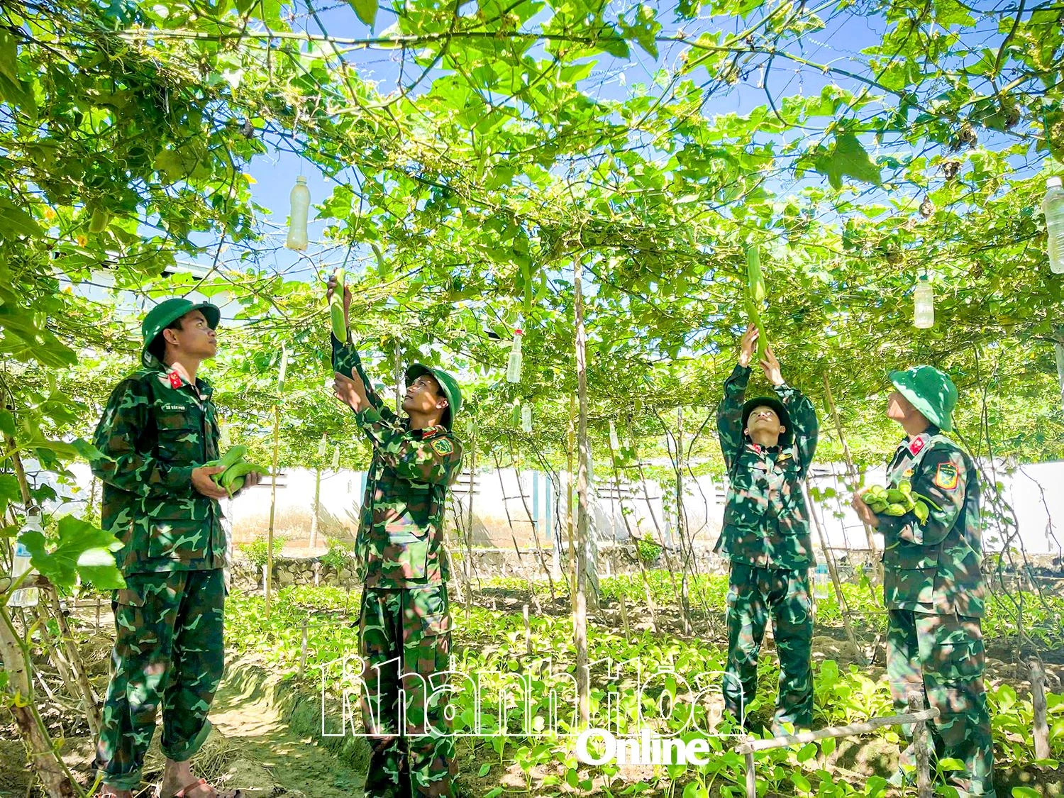 Lữ đoàn Công binh 293: Đẩy mạnh phong trào tăng gia sản xuất