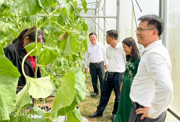Xã Suối Dầu: Ra mắt Tổ hội Nông dân nghề nghiệp “Trồng dưa lưới trong nhà kính”