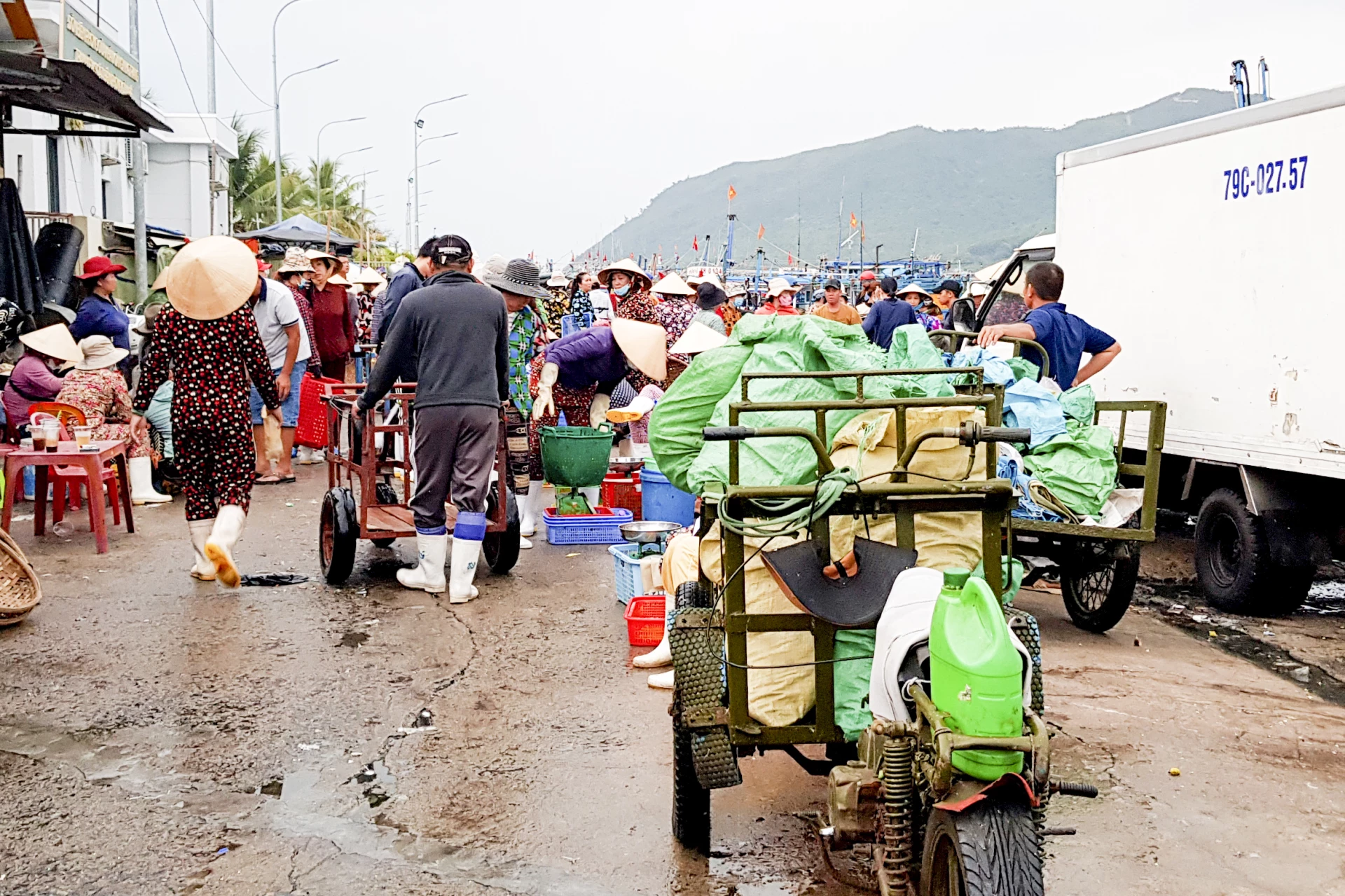 Cảng cá nhộn nhịp vào buổi sớm.