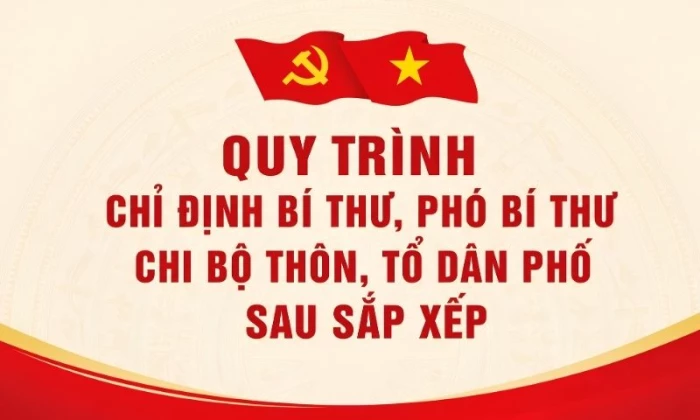 [Infographic] Quy trình chỉ định bí thư và phó bí thư chi bộ thôn, tổ dân phố sau sắp xếp