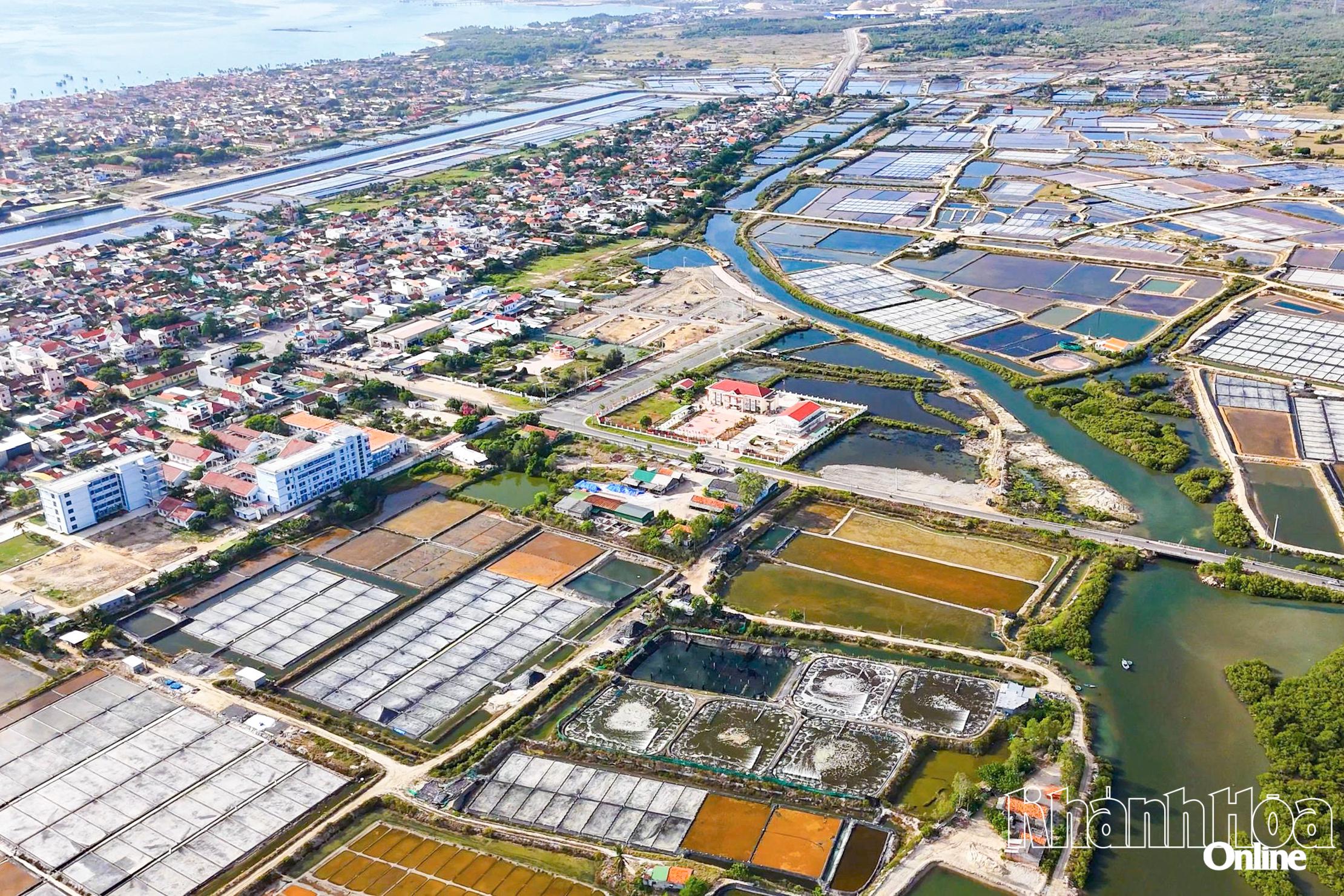 Cánh đồng muối phường Đông Ninh Hòa. Ảnh: CÔNG ĐỊNH