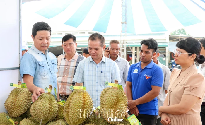 Triển khai Bộ tiêu chí và quy trình đánh giá sản phẩm OCOP