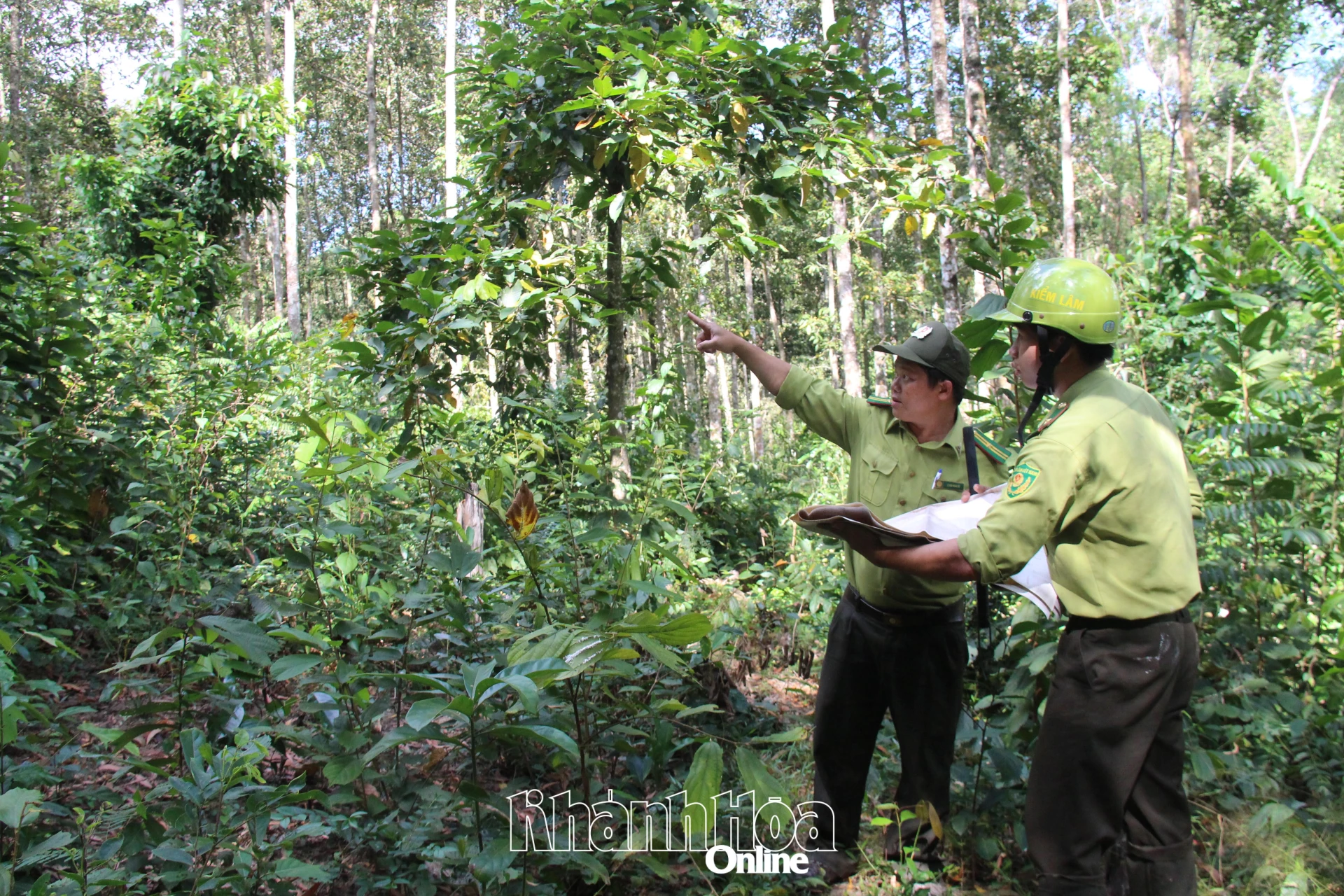 Safeguarding biodiversity in Hon Ba