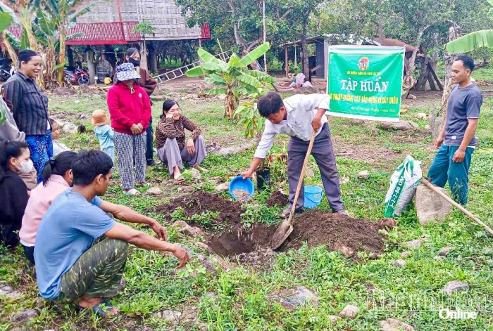 Đề án Tăng thu nhập trong diện tích đất vườn gắn với nhà ở: Thiết thực và hiệu quả