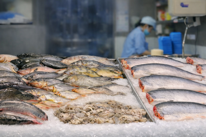 Humble fish stew “Cá kho tộ” steals spotlight