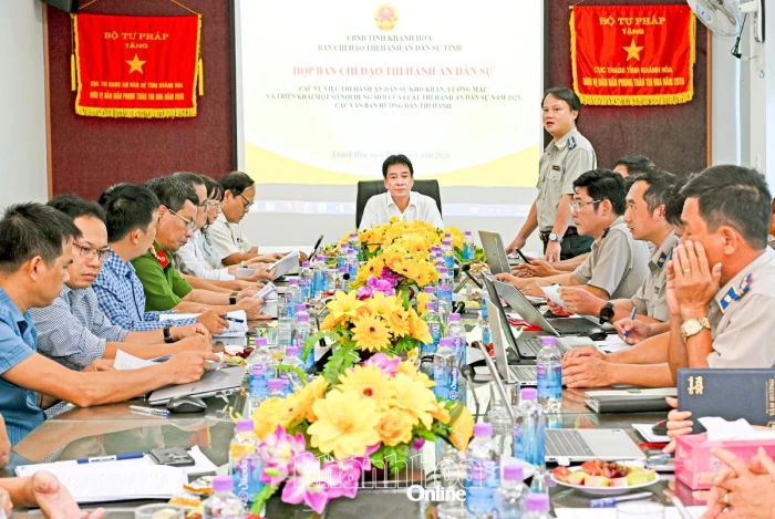 Ban Chỉ đạo Thi hành án dân sự tỉnh chỉ đạo một số vụ việc thi hành án