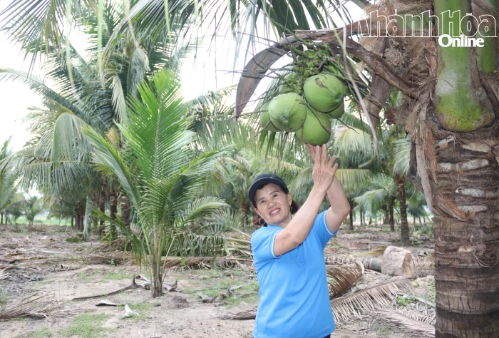 Những phụ nữ làm kinh tế giỏi 