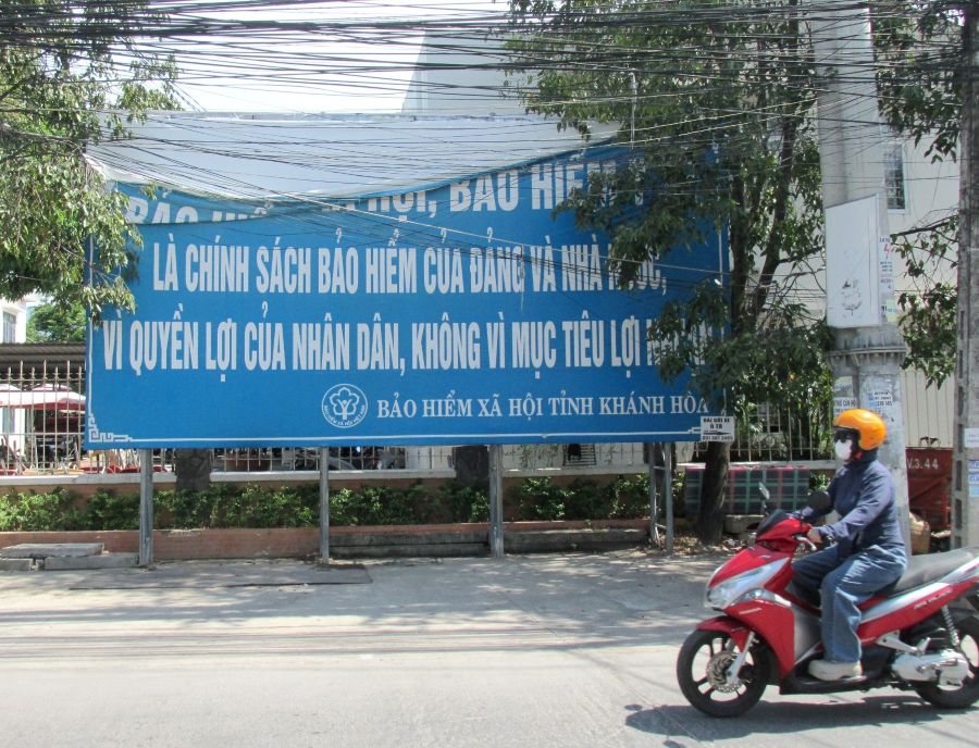 Ảnh chụp ngày 15-6-2026.