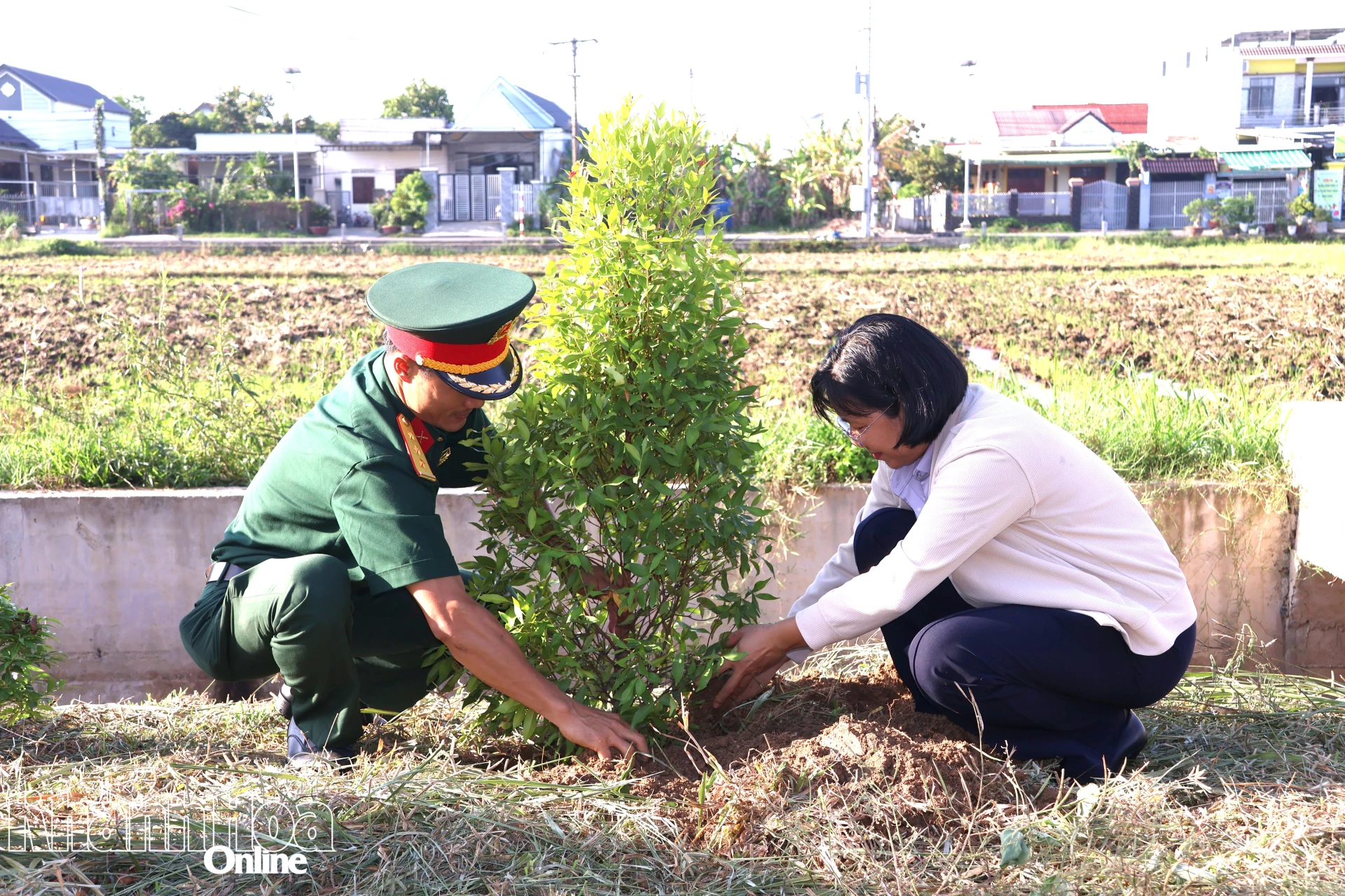 Trồng cây xanh tại giúp các tuyến đường, ngõ xóm thêm xanh, sạch, đẹp. 