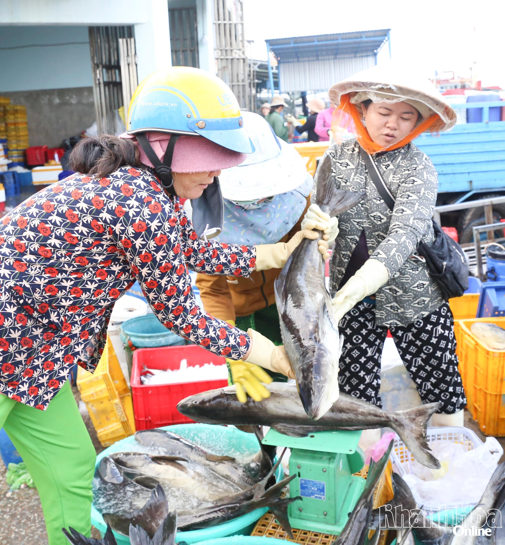 Người dân mua bán hải sản tại cảng cá Đông Hải. Ảnh: VĂN NỶ