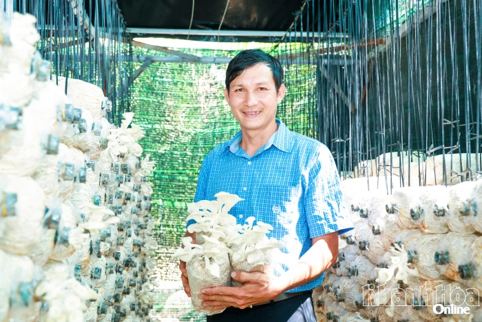 Bỏ phố về làng vì mê trồng nấm