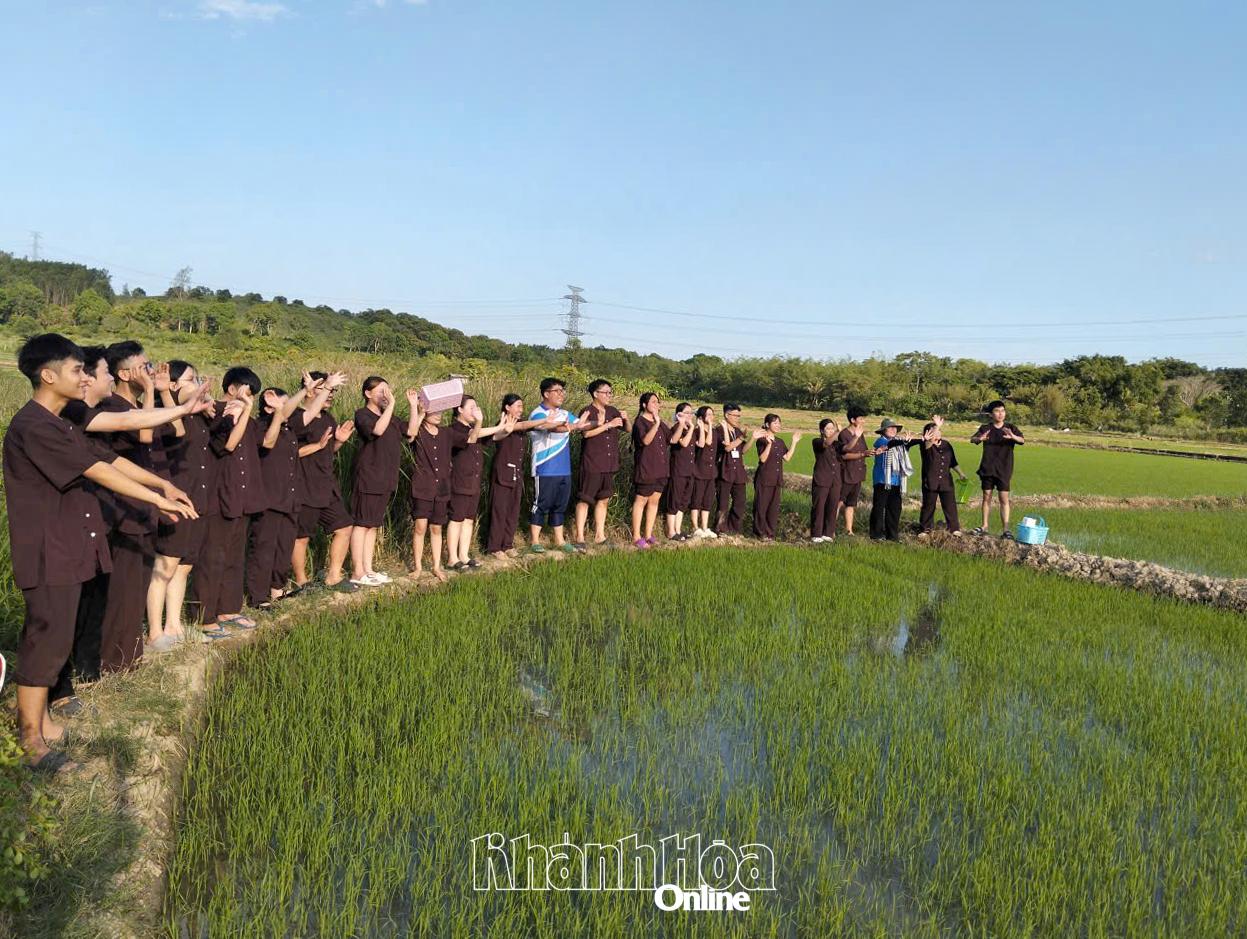 Du khách trải nghiệm cuộc sống làng quê.