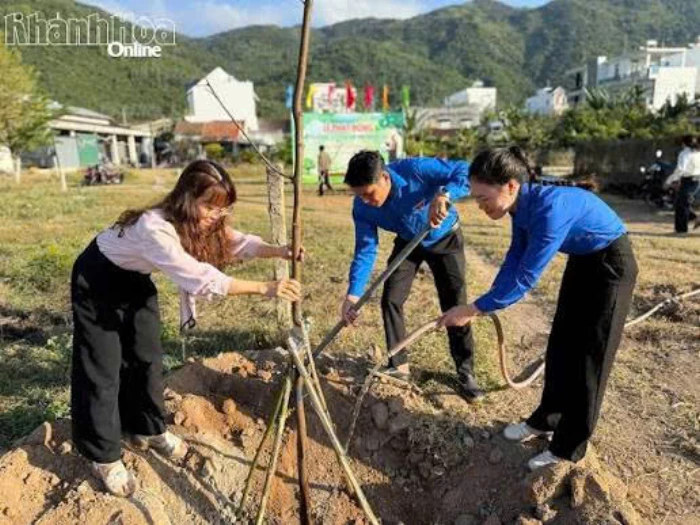 Rà soát, đăng ký nhu cầu hỗ trợ trồng cây xanh