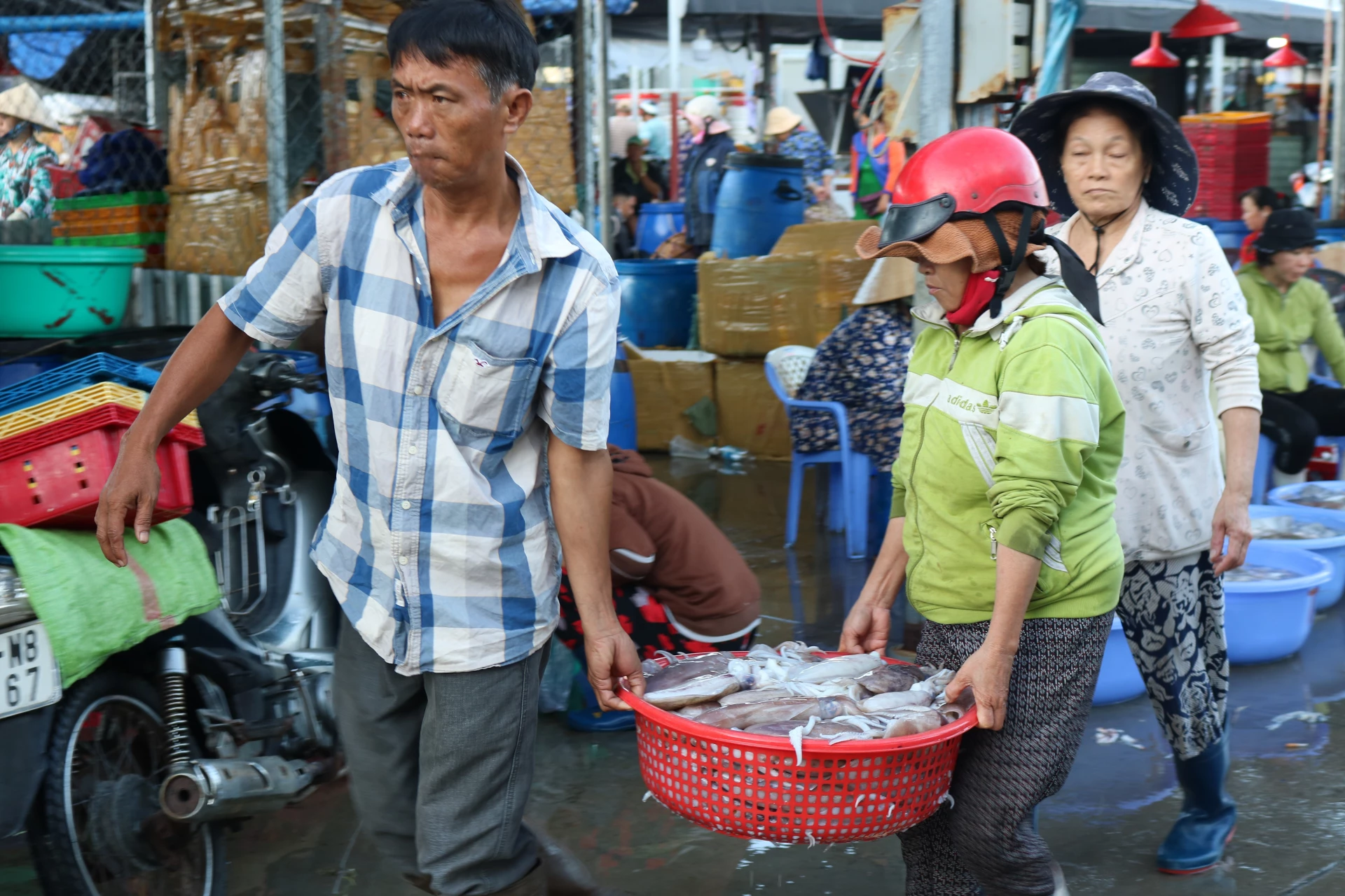Rộn ràng bến cảng.