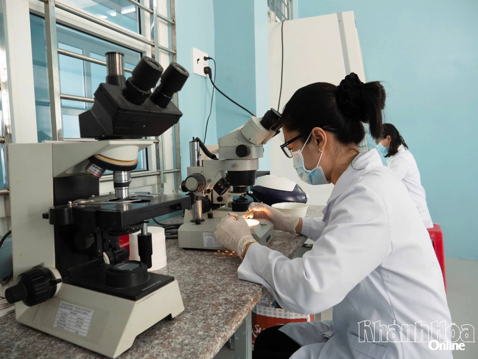 Mẫu tôm giống được kiểm tra dưới kính hiển vi nhằm phát hiện sớm các tác nhân gây bệnh.