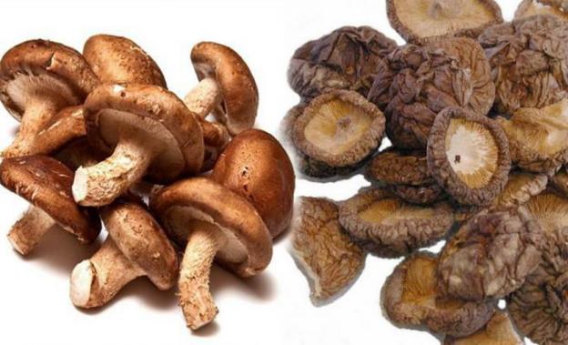 Nấm hương giúp giảm mỡ máu, hỗ trợ trị tăng huyết áp