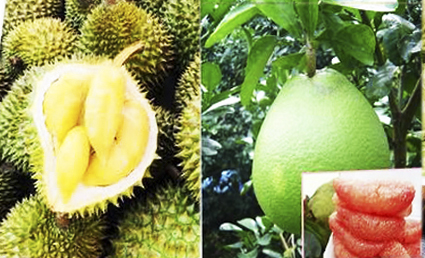 Khai mạc Phiên chợ nông sản và sản phẩm OCOP 2023